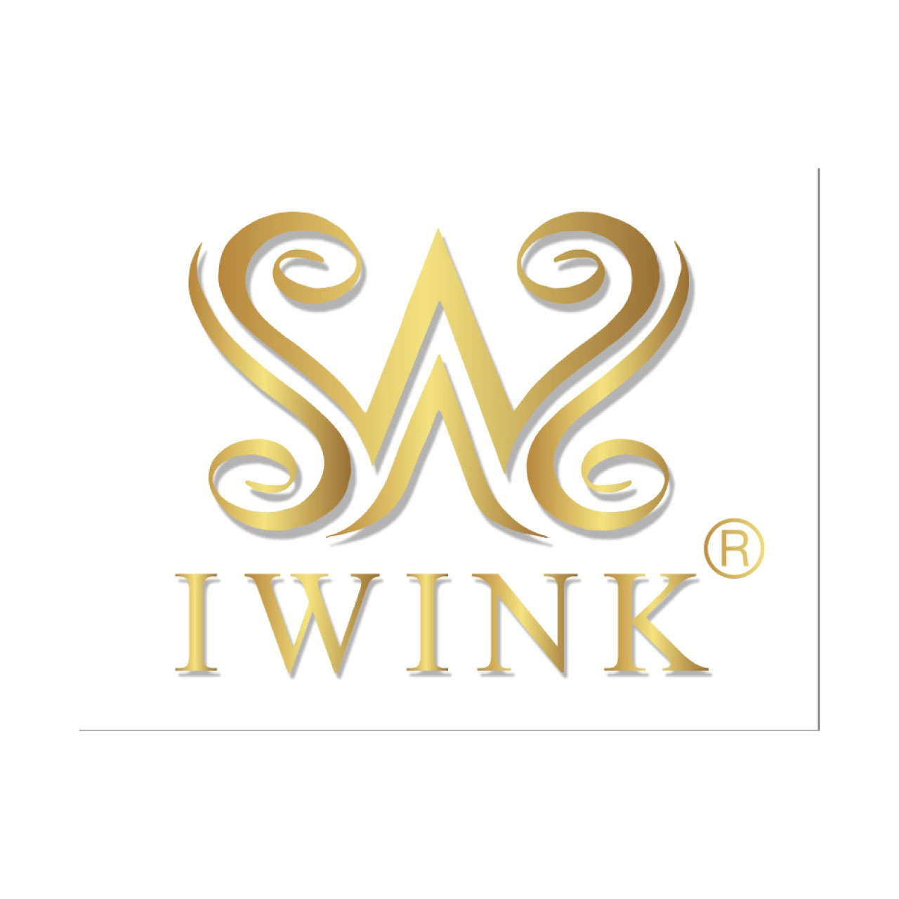 Iwink-1